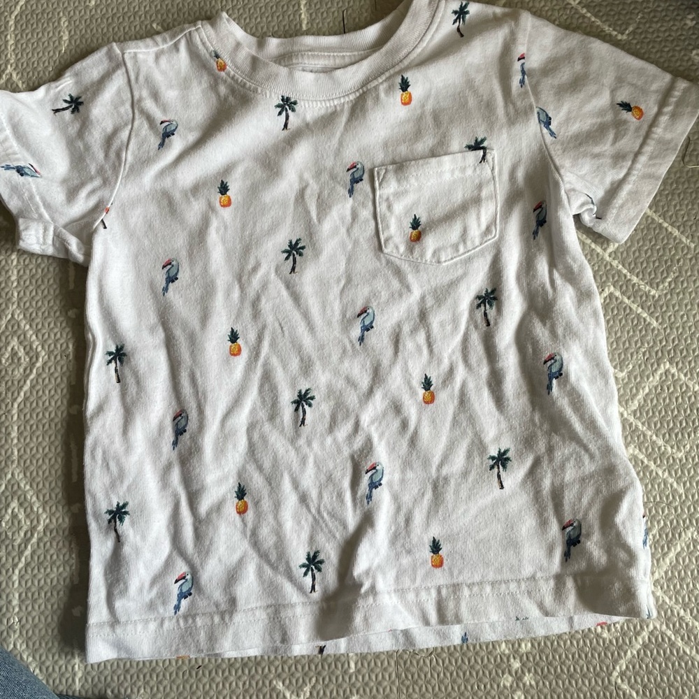 Janie & Jack tee